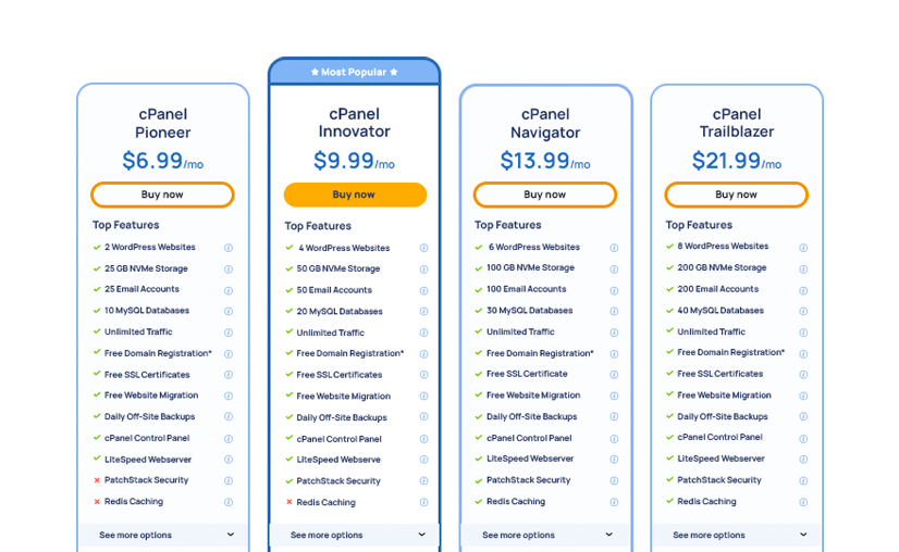 Hosted CPanel Web Hosting WordPress Domain Registrations 